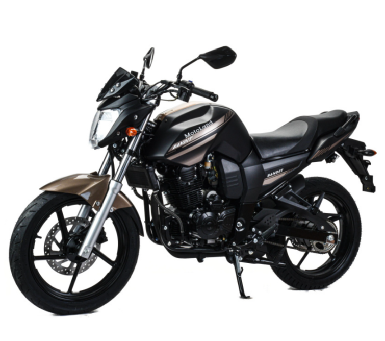 Мотоцикл MOTOLAND (МОТОЛЕНД) 300 BANDIT в Новокузнецке