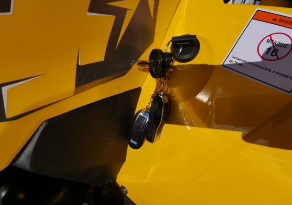 Квадроцикл MOTOLAND (МОТОЛЕНД) VOX200 WILD TRACK X PRO (баланс. вал) в Новокузнецке