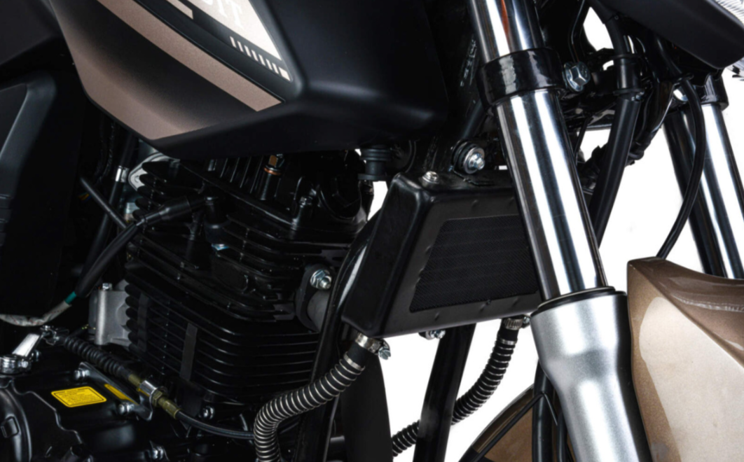 Мотоцикл MOTOLAND (МОТОЛЕНД) 300 BANDIT в Новокузнецке