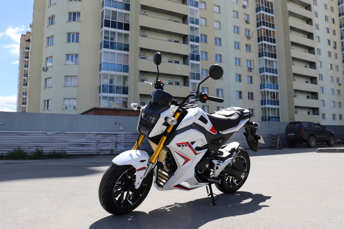 Мотоцикл PROMAX STRYKER 200(49) 2.0 в Новокузнецке