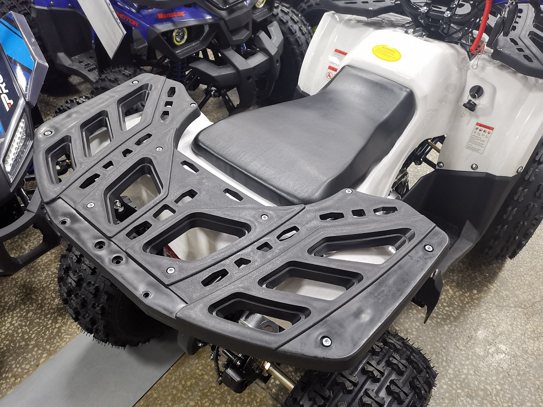 Квадроцикл PROMAX WILD 175 LUX в Новокузнецке