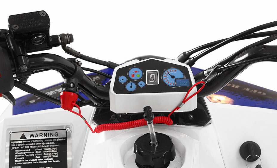 Квадроцикл Yacota Raposa 110 в Новокузнецке