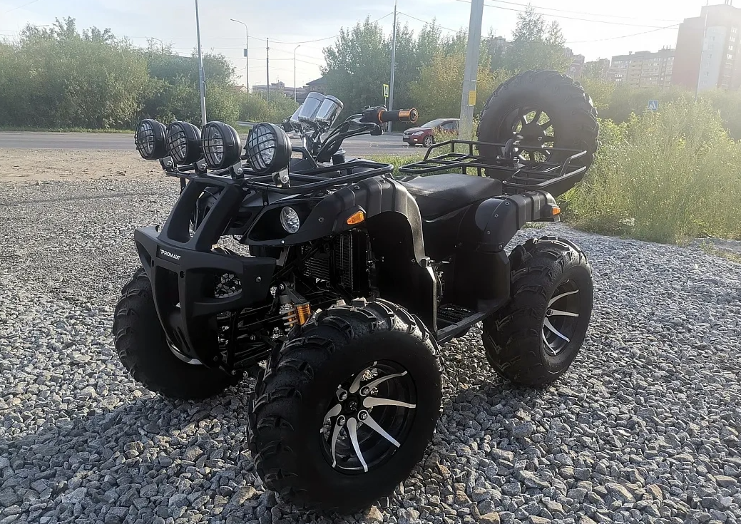 Квадроцикл PROMAX LEO 300 Max (кардан) в Новокузнецке