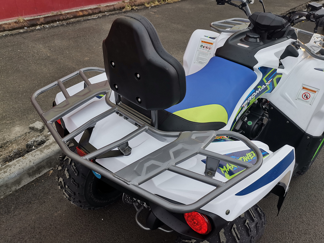 Квадроцикл PROMAX RENEGADE 280 LUX (2025) в Новокузнецке