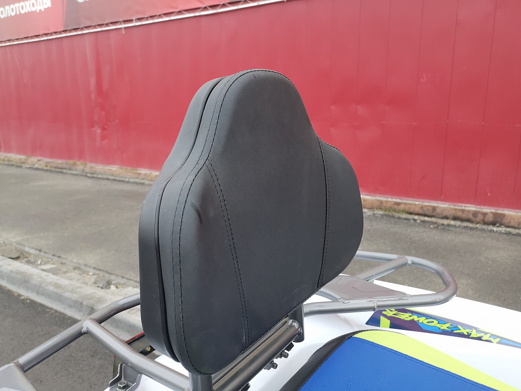 Квадроцикл PROMAX RENEGADE 280 LUX (2025) в Новокузнецке