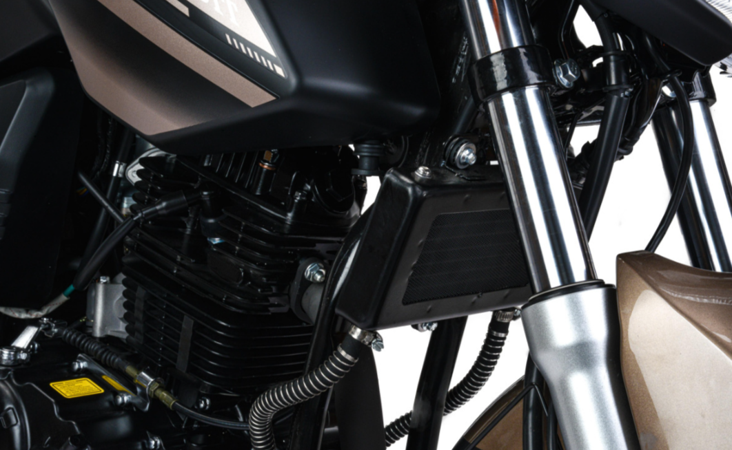 Мотоцикл MOTOLAND (МОТОЛЕНД) 300 BANDIT в Новокузнецке