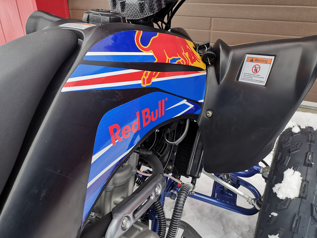 Квадроцикл PROMAX RAPTOR 300 NEW RedBull в Новокузнецке