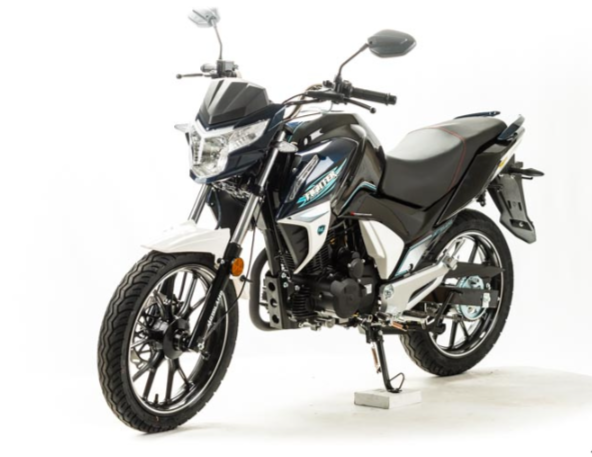 Мотоцикл MOTOLAND (МОТОЛЕНД) FIGHTER 250 в Новокузнецке