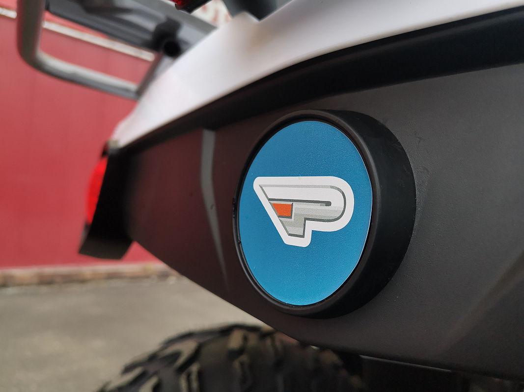Квадроцикл PROMAX RENEGADE 280 LUX (2025) в Новокузнецке