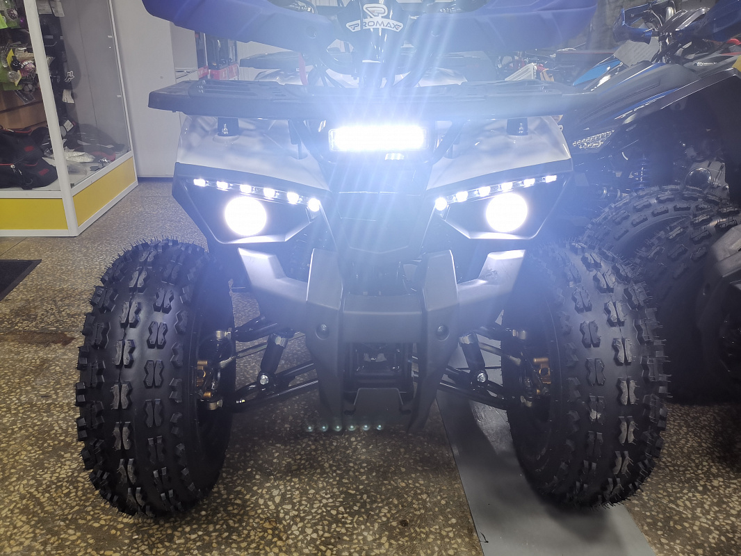 Квадроцикл PROMAX WILD 175 LUX в Новокузнецке