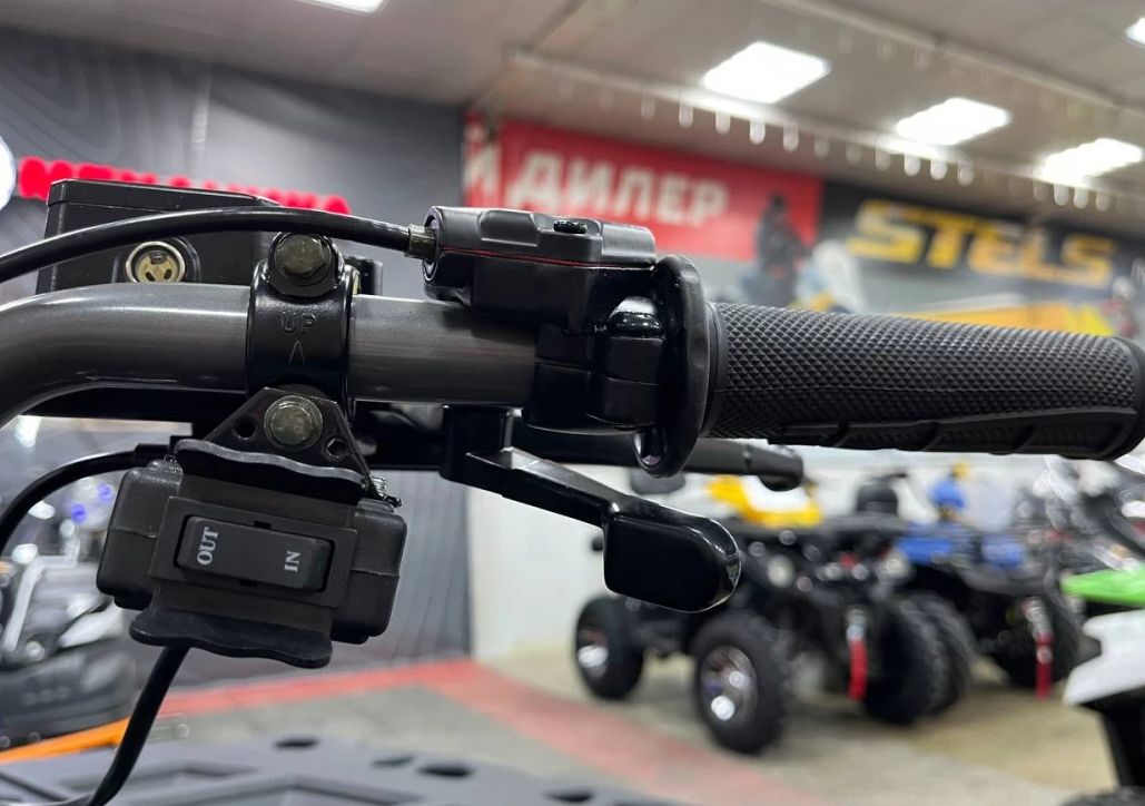 Квадроцикл PROMAX RENEGADE 300 LONG WINCH PRO (2025) в Новокузнецке