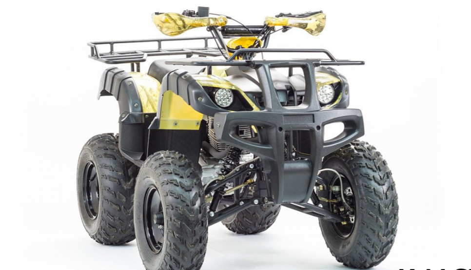 Квадроцикл MOTOLAND (МОТОЛЕНД) 250 ADVENTURE в Новокузнецке