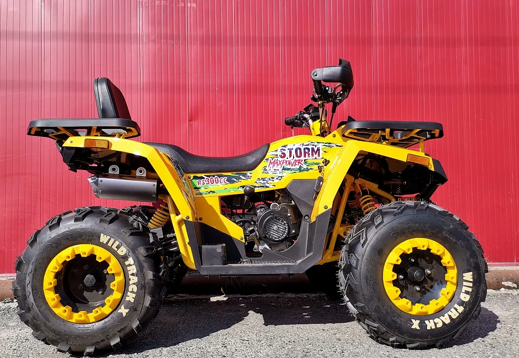 Квадроцикл PROMAX STORM 280 LUX в Новокузнецке