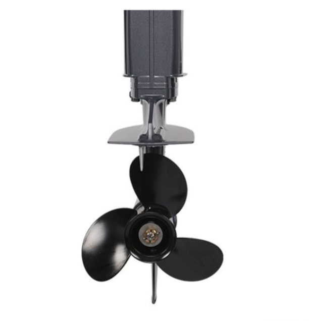 Лодочный мотор ALLFA CG Т40FW S в Новокузнецке