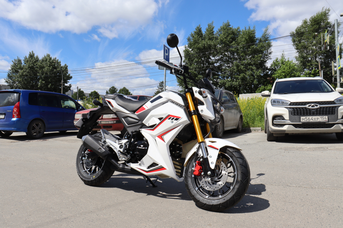 Мотоцикл PROMAX STRYKER 200(49) 2.0 в Новокузнецке