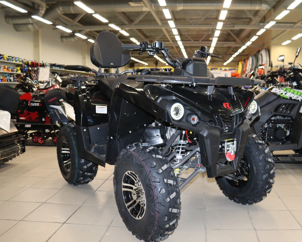 Квадроцикл PROMAX RENEGADE 300 LONG WINCH PRO (2025) в Новокузнецке