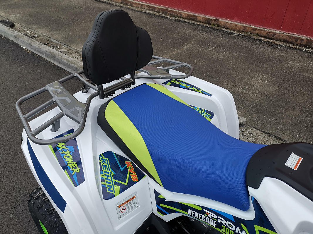 Квадроцикл PROMAX RENEGADE 280 LUX (2025) в Новокузнецке