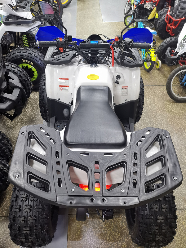 Квадроцикл PROMAX WILD 175 LUX в Новокузнецке