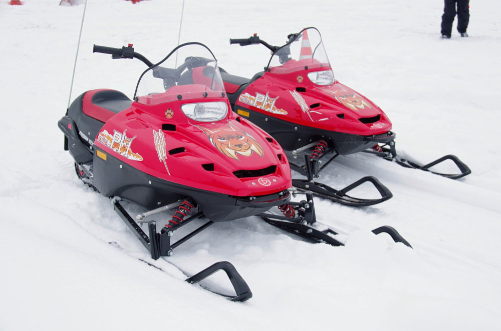 Снегоход РМ ТАЙГА РЫСЬ в Новокузнецке