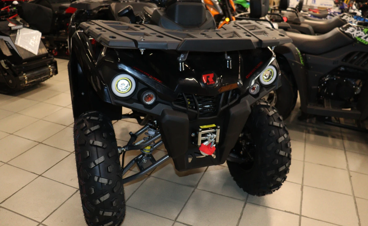 Квадроцикл PROMAX RENEGADE 300 LONG WINCH PRO (2025) в Новокузнецке