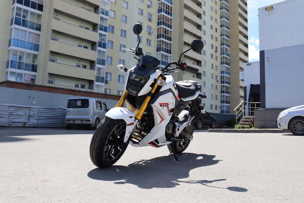 Мотоцикл PROMAX STRYKER 200(49) 2.0 в Новокузнецке