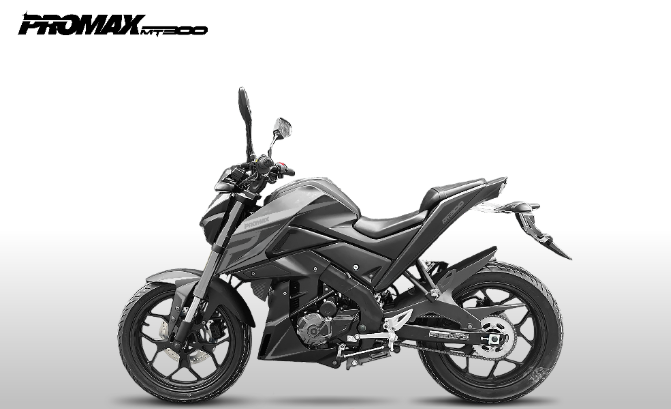 Мотоцикл PROMAX MT300 в Новокузнецке