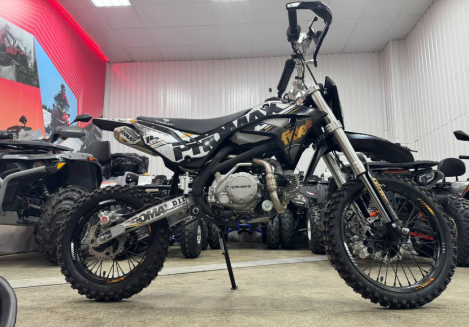 Мотоцикл (питбайк) PROMAX FIDET (ФАЙДЕТ) 145E PRO 17/14 в Новокузнецке