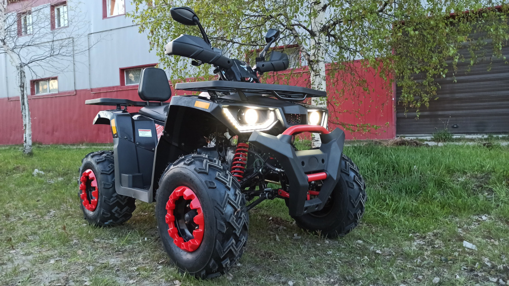 Квадроцикл PROMAX WILD 300 LUX (2024) в Новокузнецке