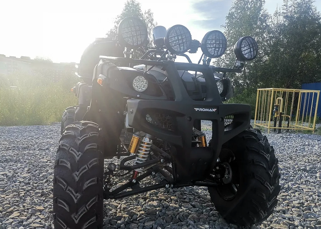 Квадроцикл PROMAX LEO 300 Max (кардан) в Новокузнецке