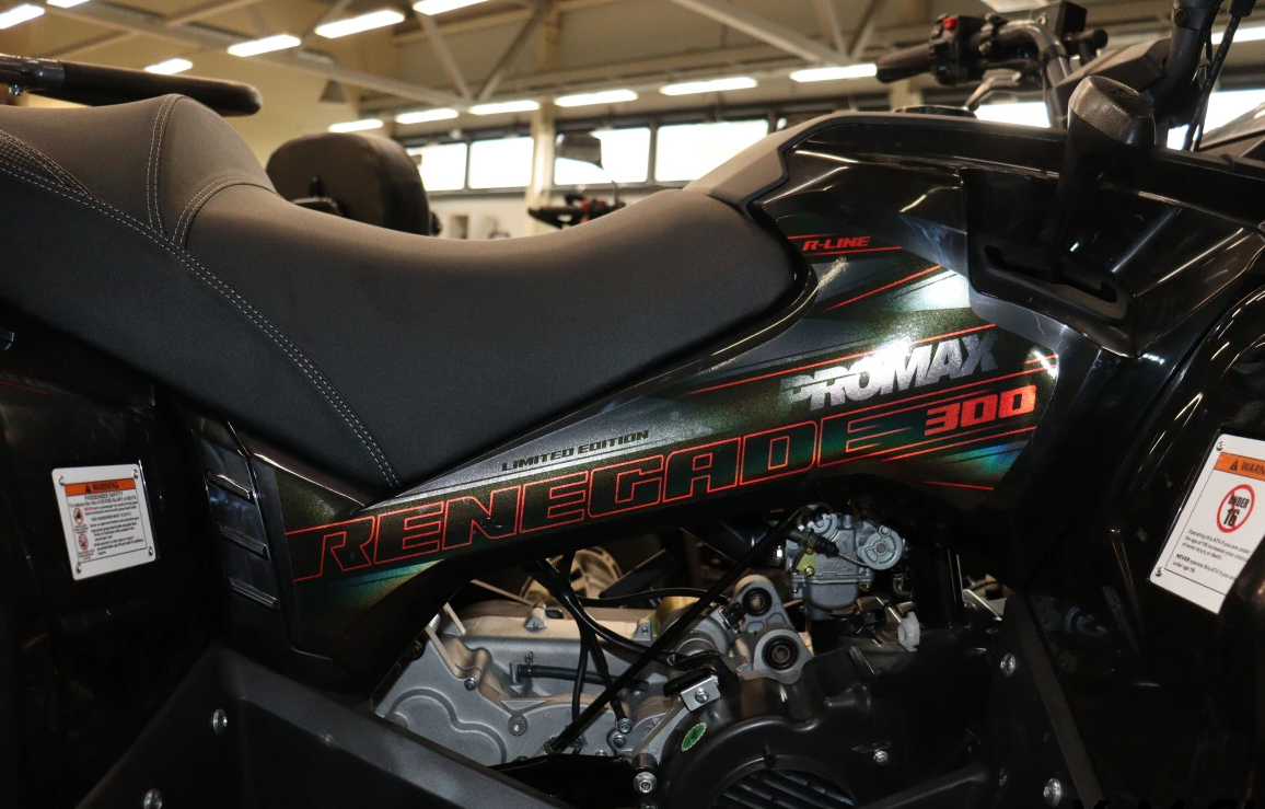 Квадроцикл PROMAX RENEGADE 300 LONG WINCH PRO (2025) в Новокузнецке