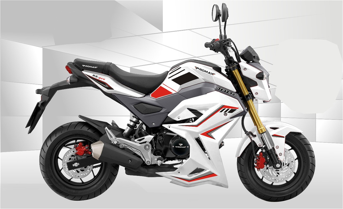 Мотоцикл PROMAX STRYKER 200(49) 2.0 в Новокузнецке