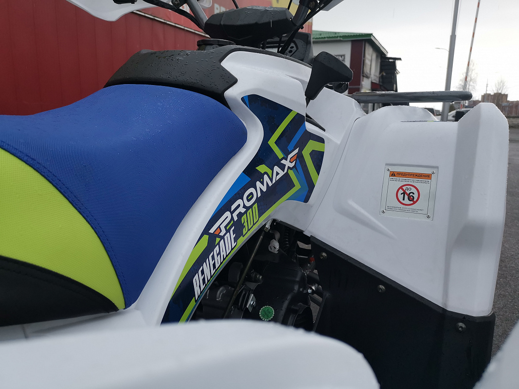Квадроцикл PROMAX RENEGADE 280 LUX (2025) в Новокузнецке