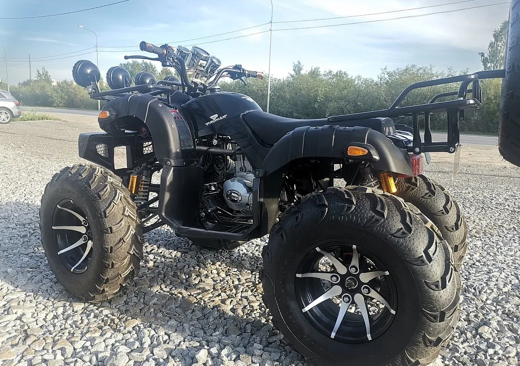 Квадроцикл PROMAX LEO 300 Max (кардан) в Новокузнецке