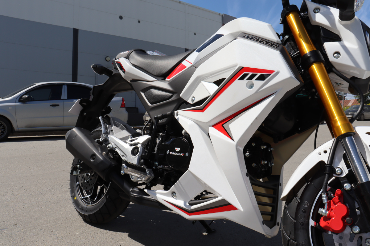 Мотоцикл PROMAX STRYKER 200(49) 2.0 в Новокузнецке