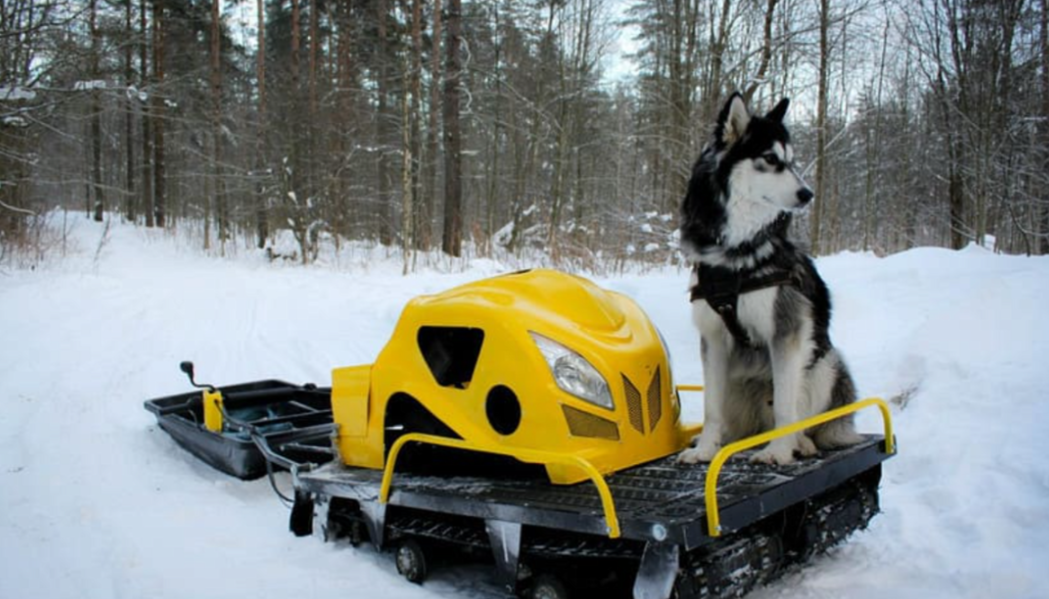 Мотобуксировщик LEBEDEV MOTORS ВОЛКОДАВ POWER V13 в Новокузнецке