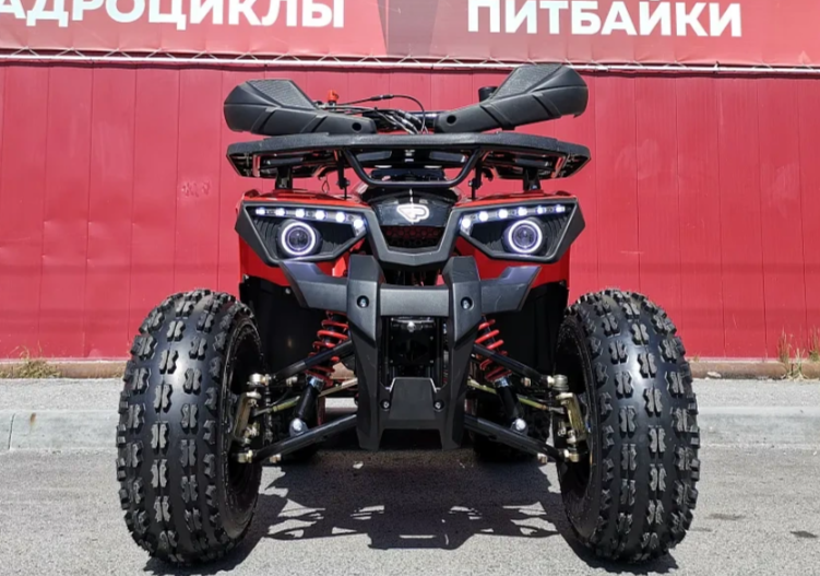 Квадроцикл PROMAX WILD 175 BASIC в Новокузнецке