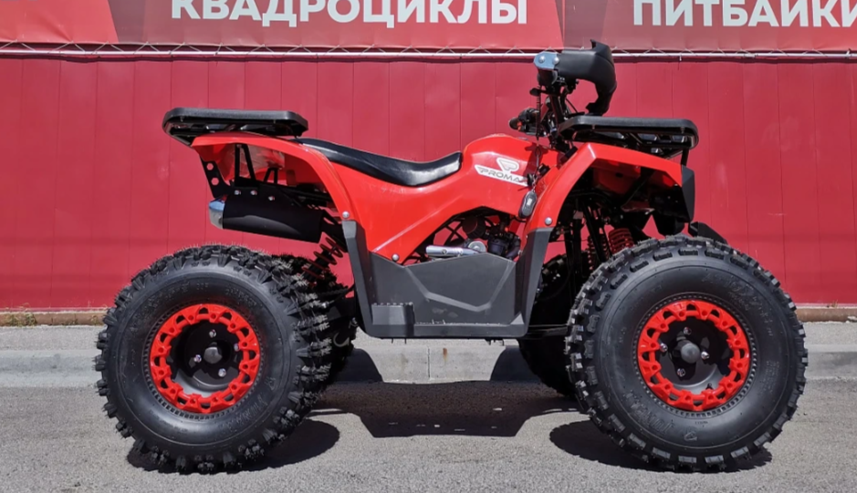 Квадроцикл PROMAX WILD 175 BASIC в Новокузнецке