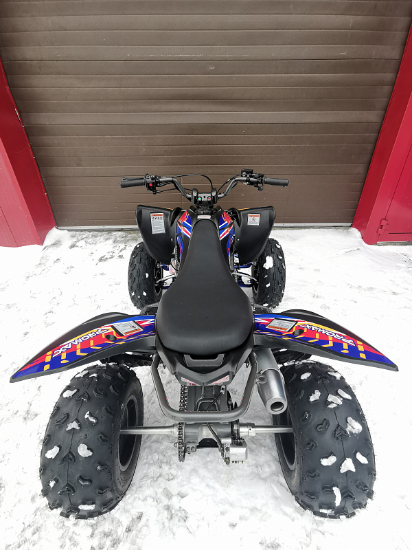 Квадроцикл PROMAX RAPTOR 300 NEW RedBull в Новокузнецке