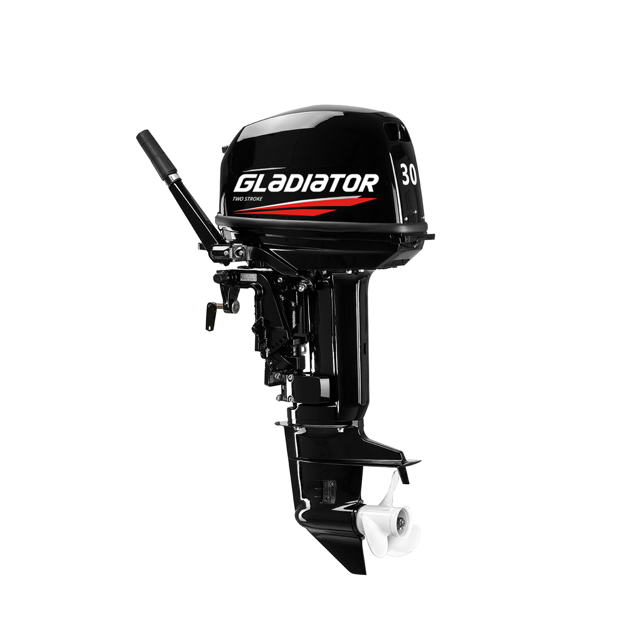 ЛОДОЧНЫЙ МОТОР GLADIATOR G30FHS в Новокузнецке