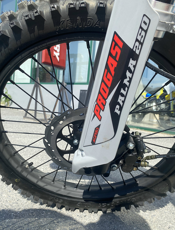 Мотоцикл Progasi PALMA 300 NEW (CB300F) в Новокузнецке