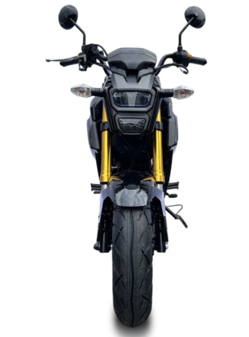 Мотоцикл PROMAX STRYKER 200(49) в Новокузнецке