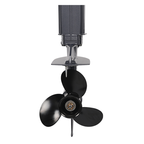 ЛОДОЧНЫЙ МОТОР ALLFA CG T30 FW S в Новокузнецке