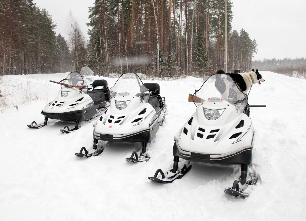 СНЕГОХОД РМ ТАЙГА ВАРЯГ 550 V в Новокузнецке