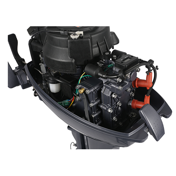 ЛОДОЧНЫЙ МОТОР ALLFA CG Т9,9 в Новокузнецке