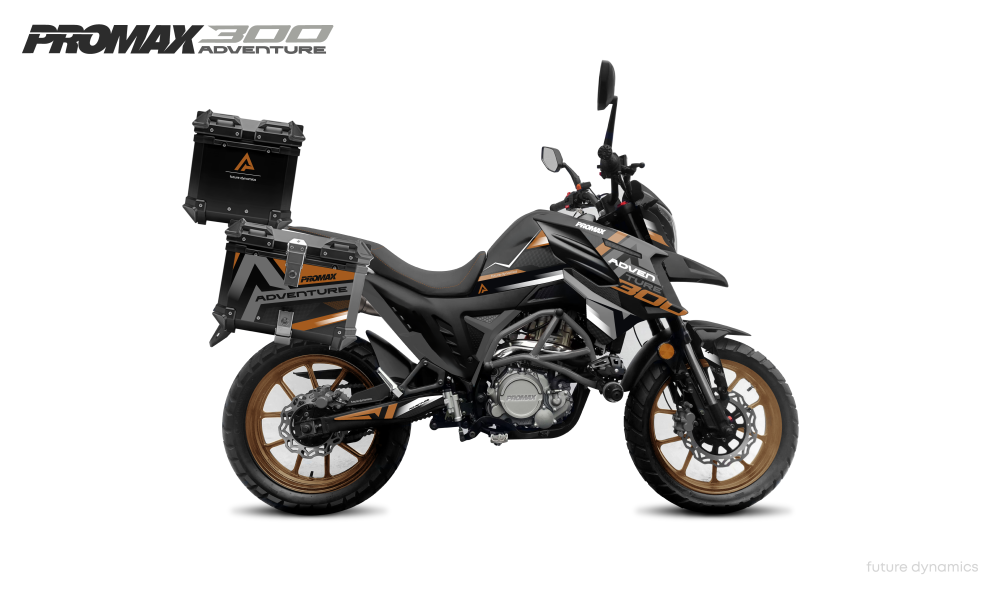 Мотоцикл PROMAX ADVENTURE 300 PRO EFI (NB300) в Новокузнецке