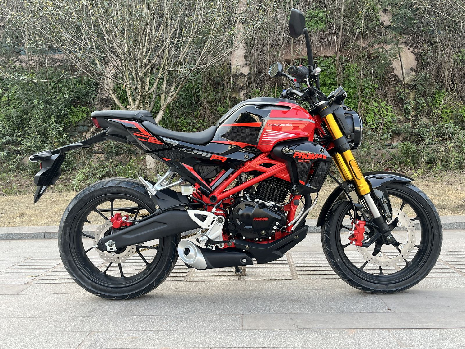 Мотоцикл PROMAX CB300 в Новокузнецке