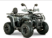 Квадроцикл YACOTA DRAGON LUX LD 150 PRO-SPORT в Новокузнецке