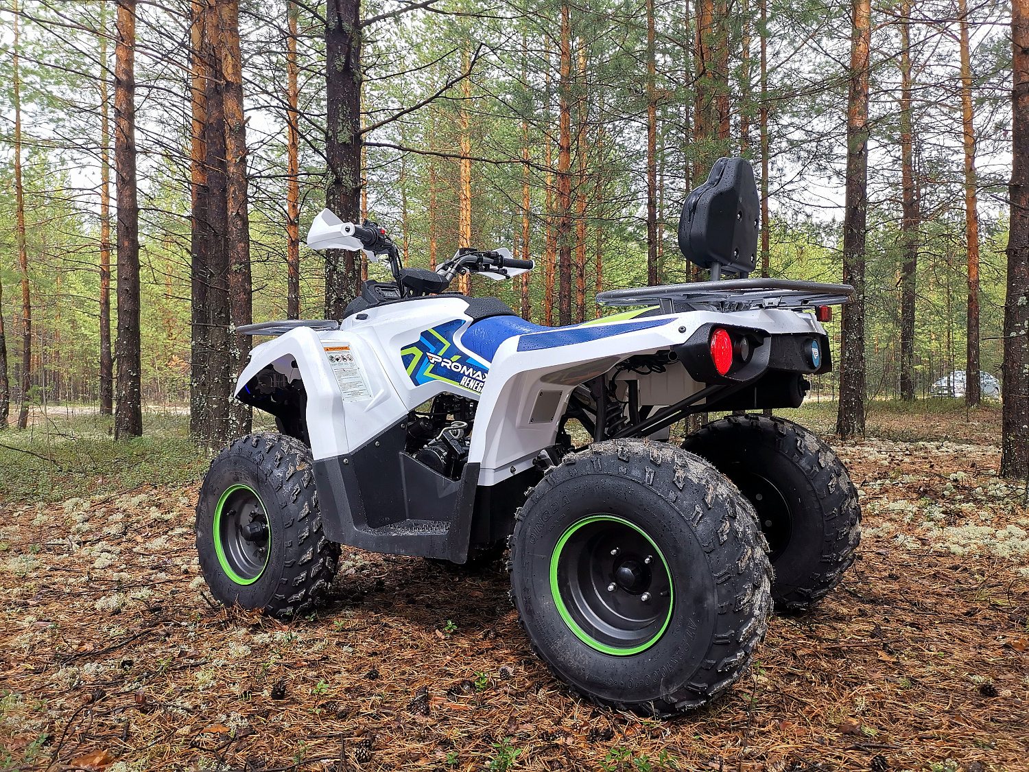 Квадроцикл PROMAX RENEGADE 280 (2025) в Новокузнецке