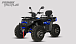 Квадроцикл PROMAX TAURUS 300 MAX-PRO LONG в Новокузнецке