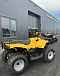 КВАДРОЦИКЛ IRBIS ATV 250  в Новокузнецке